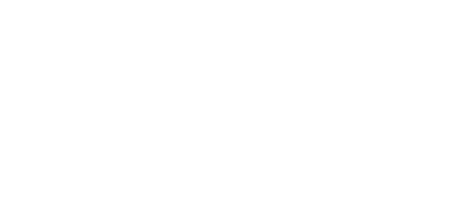Whales Exterior Cleaning