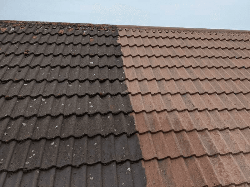 Gutter clean & clearance