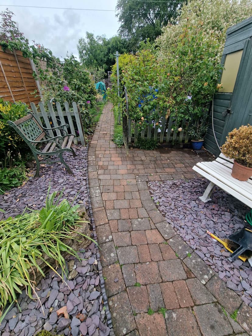 Before — the path with moss creeping in from both edges.