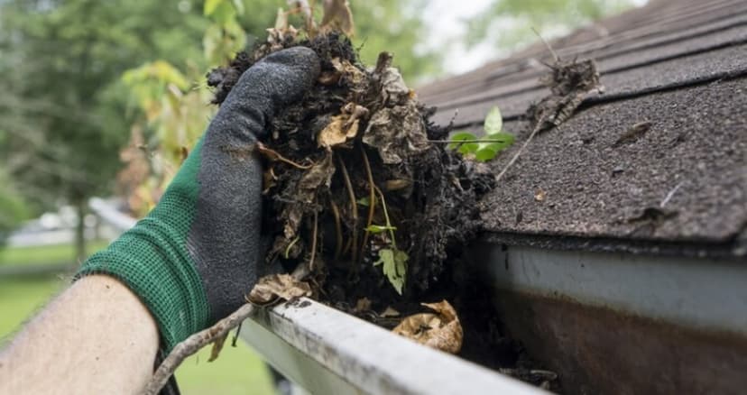 Clearing a gutter packed with moss, leaves and silt by hand.