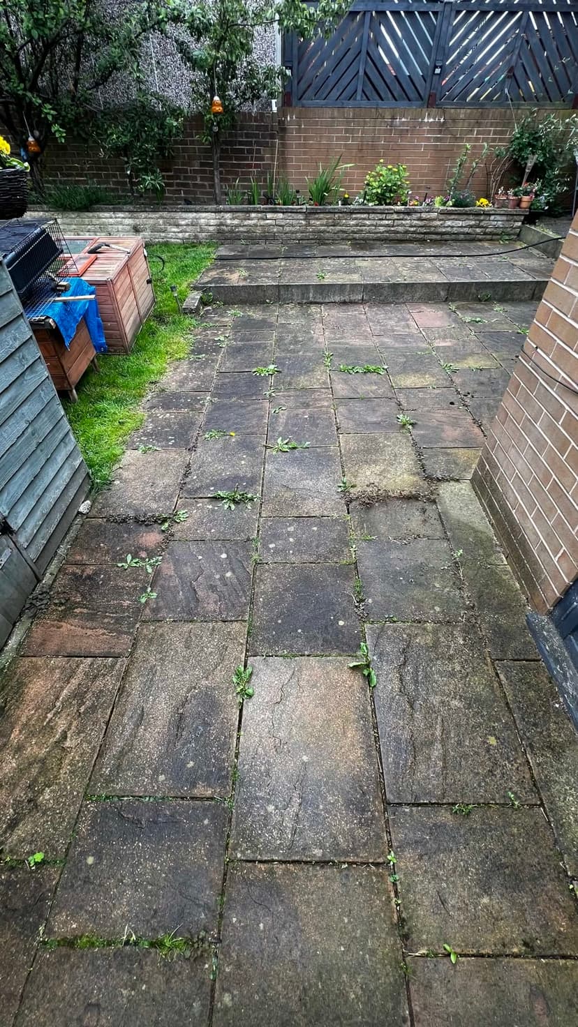 Before — moss and algae across the slabs and joints.