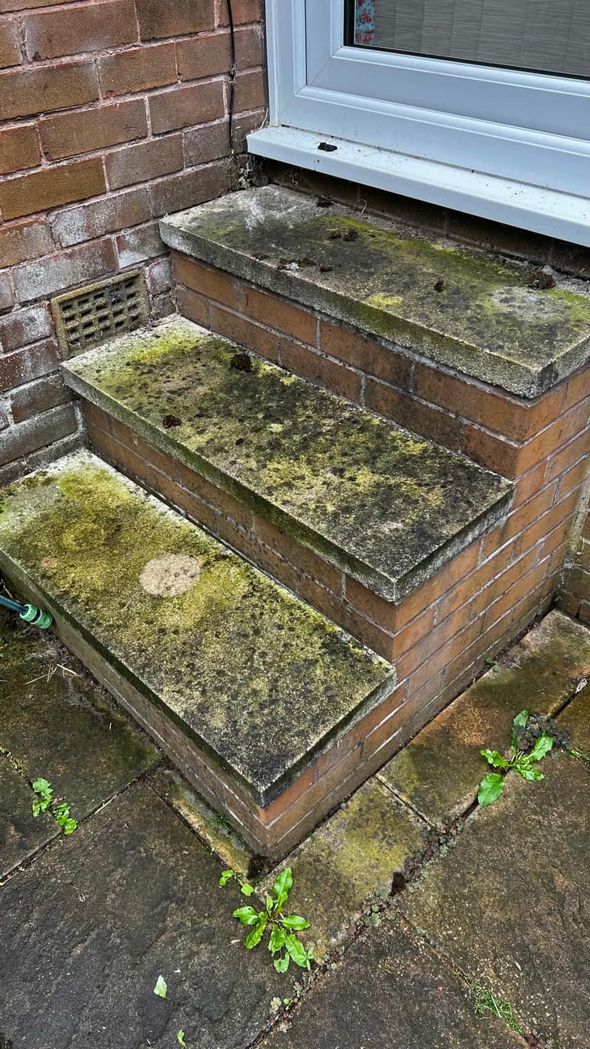 Before — moss in every corner of the steps.